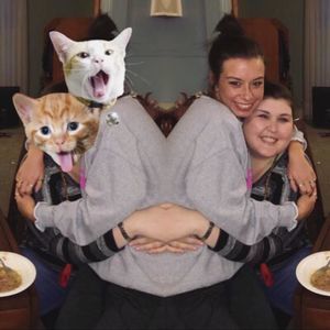 Meet your Posher, Harper anne